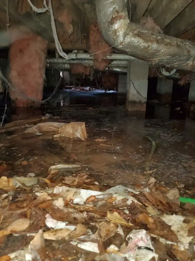 Crawl space flood assessment for Leak Detection & Repair in Satellite Beach